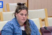 ANU academic accuses Julie Bishop of bullying and threats during Senate inquiry into university governance