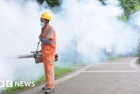 Chikungunya virus: China reports 7,000 cases