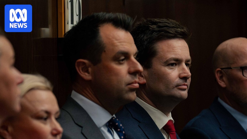 Josh Willie replaces Dean Winter as Tasmanian Labor leader after election loss