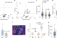 Lithium deficiency and the onset of Alzheimer’s disease