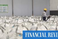 Lithium stocks surge as CATL suspends Chinese lepidolite mine