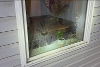 Newly obtained records show Moscow murder scene