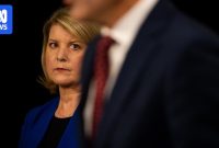 SA royal commission findings into domestic, family and sexual violence released