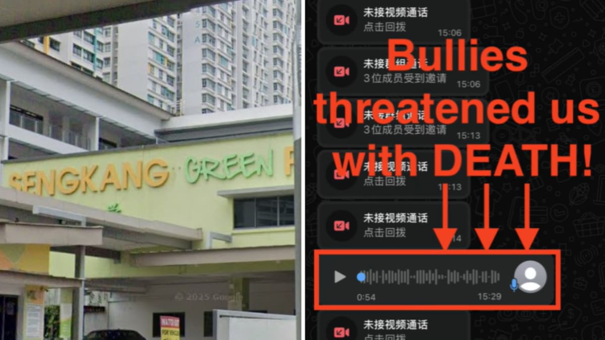 Three Sengkang Green Primary 3 students suspended after threatening to kill classmate and her family