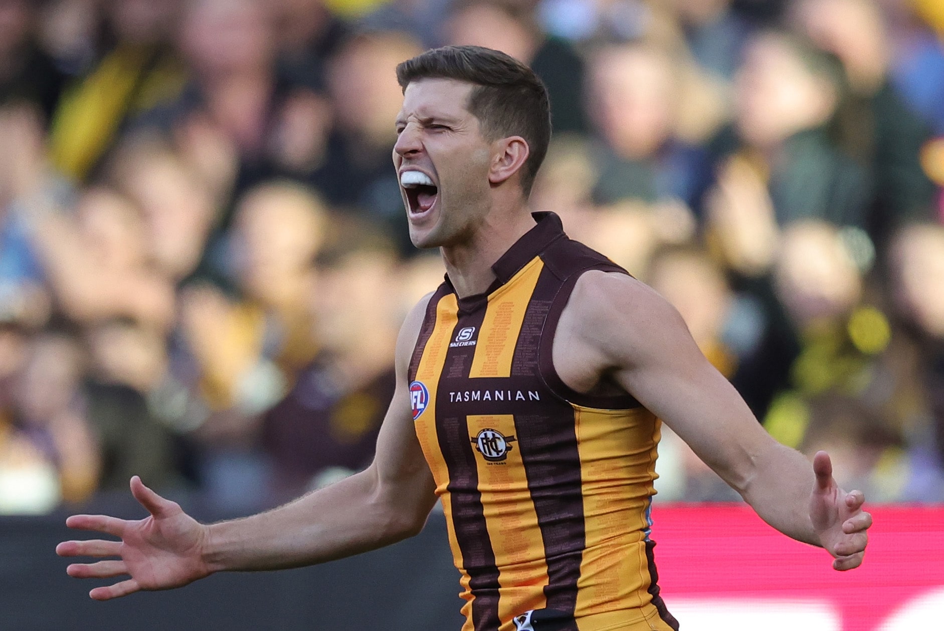 Three-time premiership Hawk to hang up boots at season's end